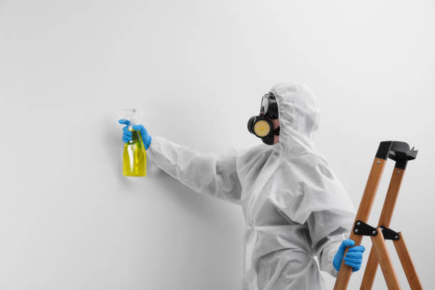 Trusted Appomattox, VA Mold Removal Experts